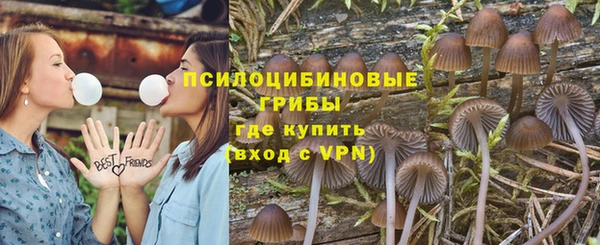 бошки Михайлов